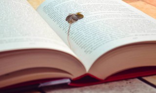 走过四季作文 走过四季作文怎么写