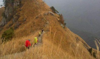 登山感悟心情的句子 爬山感悟短句大全