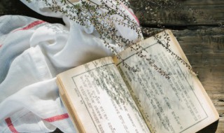 谢太傅寒雪日内集的意思 谢太傅寒雪日内集的意思简述