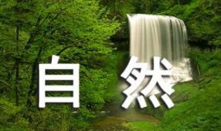 有关于自然景观的作文 描写自然景观的作文范文