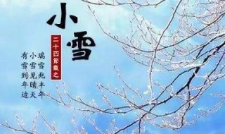 小雪节气的天气特点是什么 特点是天气越来越冷