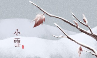 小雪手抄报内容资料 小雪手抄报内容素材