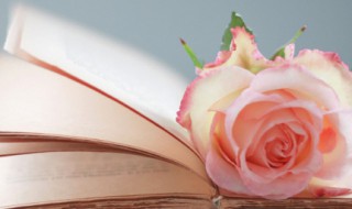 感恩节手抄报英语祝福语 感恩节英语祝福语