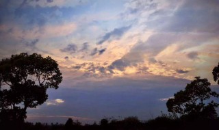 野径云俱黑的俱是什么意思 野径云俱黑原文及译文