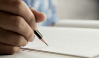 赞美小贝壳的句子 描写贝壳的说说