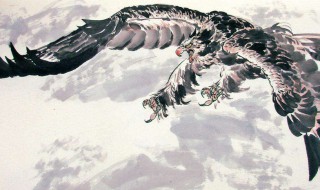 有关自强不息的作文 有关自强不息的作文范文欣赏