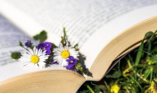 去后乃至的至是什么意思 去后乃至的至解释