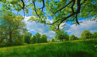 有关春天的短句子 描写春天的短句子短句