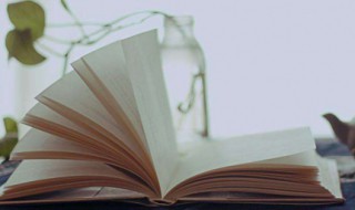 家长感言一句话 爱的教育家长感言话