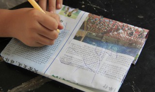 免抵税额是什么意思 什么是免抵税额