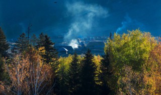 丛林深处有猛虎的深是什么意思 猛虎为什么生活在丛林深处