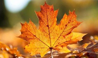 春捂秋冻这话为什么有道理 春捂秋冻谚语介绍