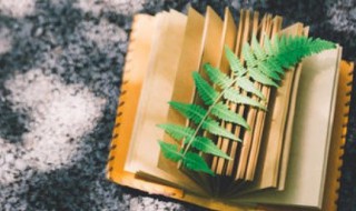 描述大自然美好的句子 写大自然的优美语句