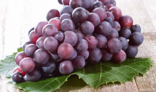 葡萄有什么好处 吃葡萄有哪些好处