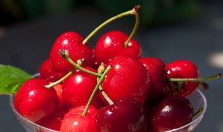 樱桃的保存方法和技巧 樱桃应该怎么存放？