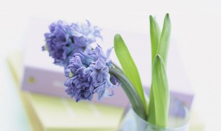 成语扬汤止沸用了什么原理避免安全事故 成语扬汤止沸故事