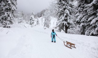 关于滑雪的心情短语 形容滑雪心情好的句子