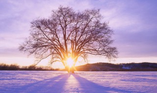 关于冬天的好句子 关于冬天的好句子有哪些