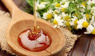 什么是土蜂蜜 什么叫土蜂蜜