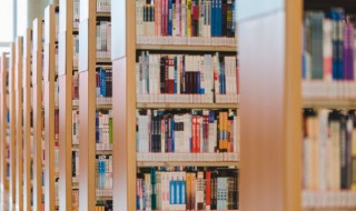 卿本佳人是什么意思 卿本佳人的意思