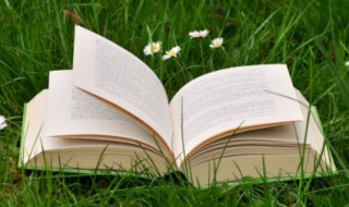 fighting是加油的意思吗 fighting的理解