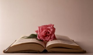 朝朝夕夕是什么意思 朝朝夕夕的意思