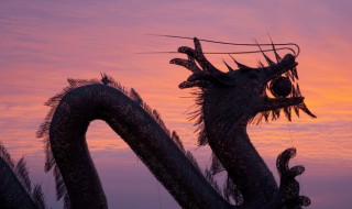 龙抬头有什么寓意 龙抬头的寓意