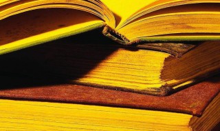 照例是什么意思 照例解释