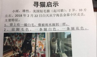 寻猫启事怎么写 要注意哪几点