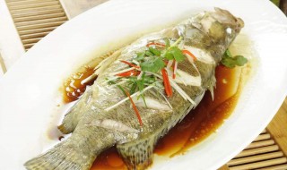 石斑清蒸鱼怎么做 清蒸石斑鱼怎么做好吃
