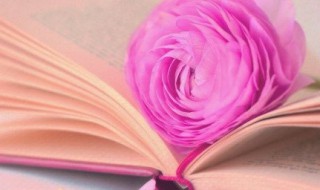 总把新桃换旧符的意思 总把新桃换旧符全诗介绍