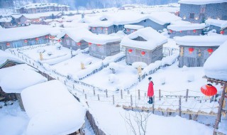 下雪后的感慨句子 下雪后的感慨句子举例