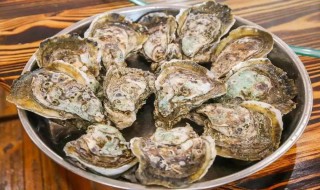 做大生蚝的方法 怎么做生蚝好吃