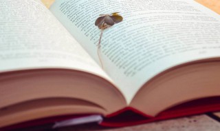 一颦一笑是什么意思 一颦一笑解释