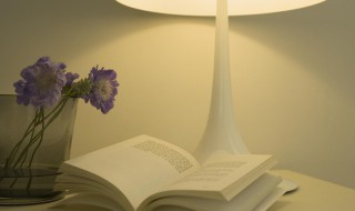 aoi是什么意思 aoi具体是什么意思