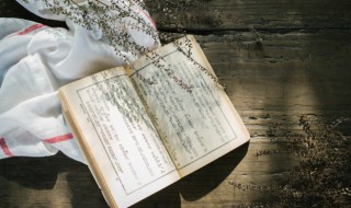 孞字的意思和含义是什么 孞字的读音