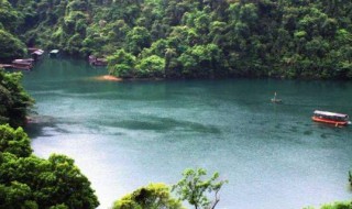 我国第一个自然保护区是什么 第一个自然保护区是哪个地方