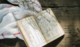 焜黄华叶衰的上一句是什么 焜黄华叶衰原文介绍