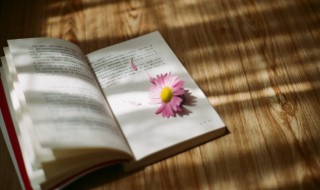 称杆是什么意思 称杆具体是什么意思