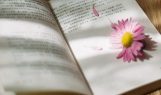 碌碌无为的意思是什么 碌碌无为是什么意思