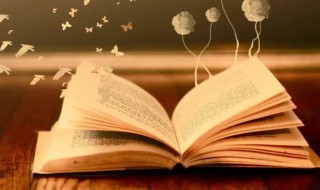 roy什么意思 roy解释