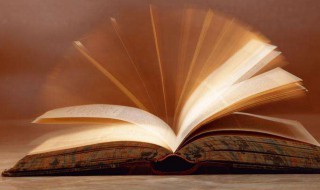 轮廓是什么意思啊 轮廓解释