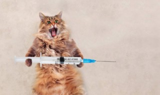 十个冷门医学专业 你知道是哪十个吗?