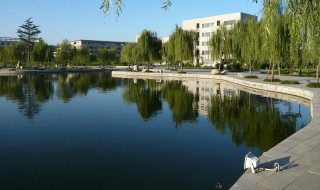 大学学分怎么算 本科要修满多少学分才能毕业