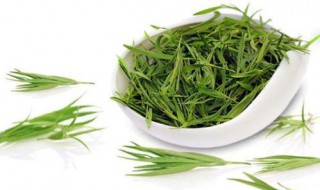 中药学考研科目 中药学有哪些课程