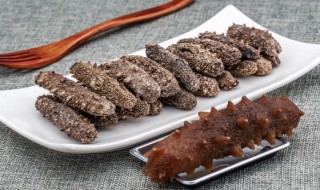 男人食补什么最好 男人食补最好的推荐