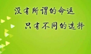 道理句子说说心情 人生感悟哲理的句子