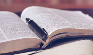 被可以组什么词 被字怎么组词