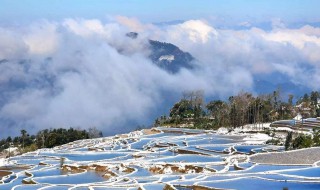 冬天适合去云南旅行吗 冬天去云南玩合适吗