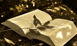 虹吸效应是什么意思 虹吸效应解释